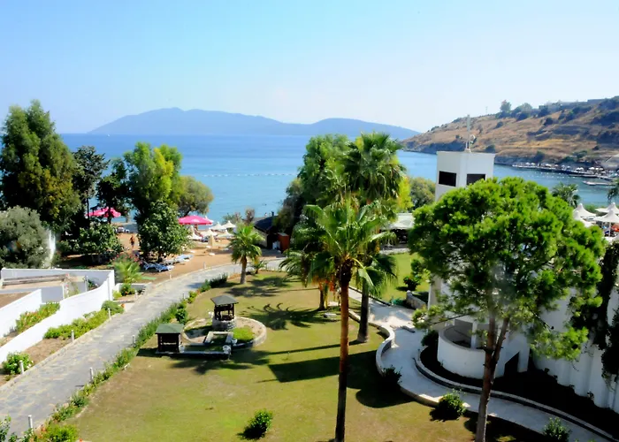 아즈카 Bodrum