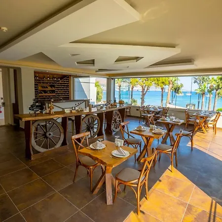 Azka Bodrum