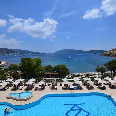 Azka Bodrum