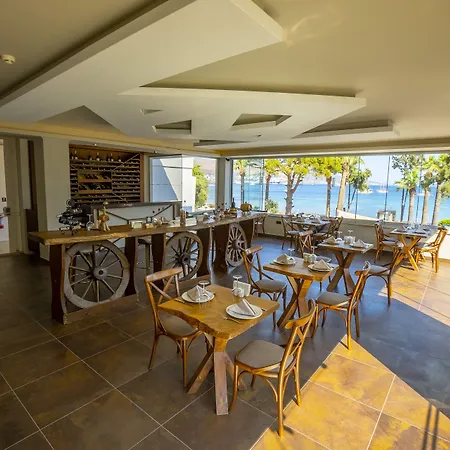 Azka Bodrum
